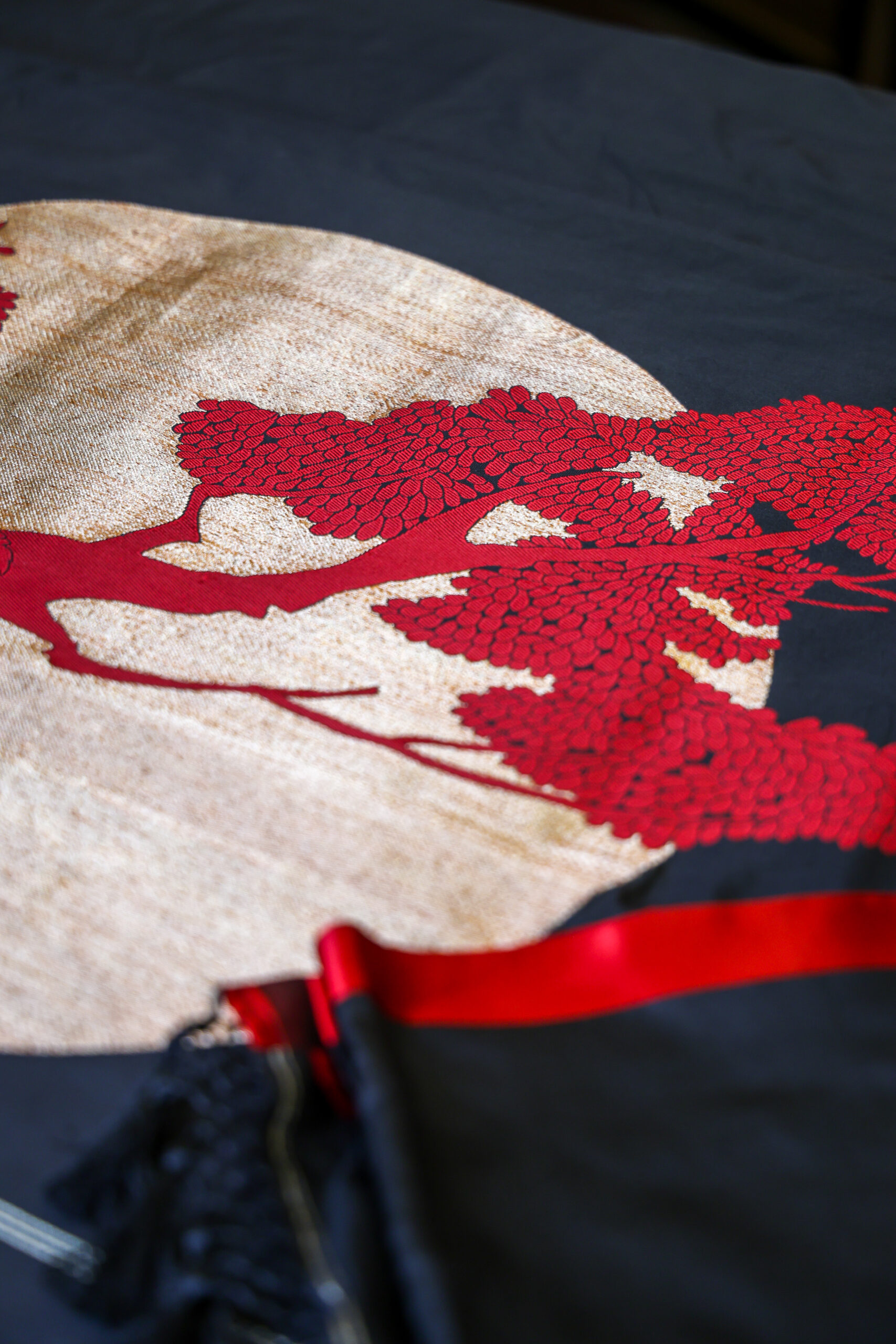 Rajnisha Black - Double Katan Saree with Red Satin border - Image 4