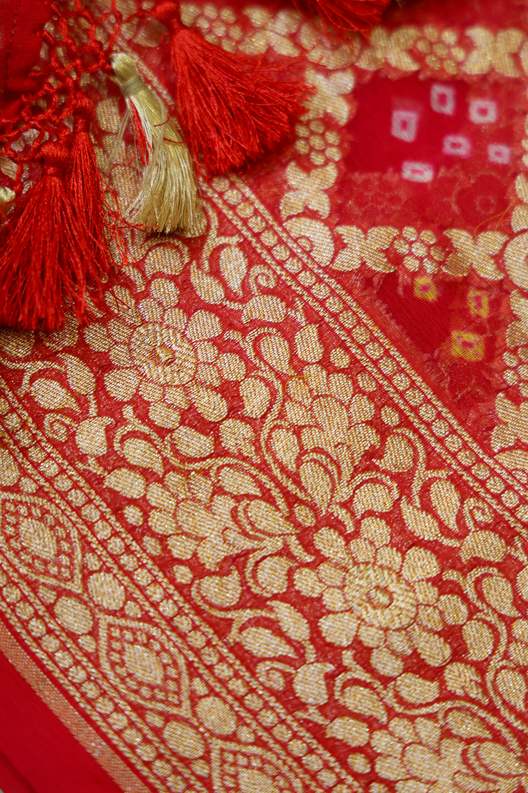 Gulabi Riwayat - Rani Pink and Red Banarasi Bandhini Georgette Saree - Image 2